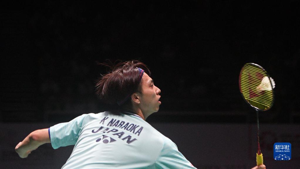 迪马团队记 迪马团队记